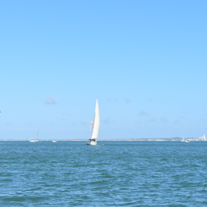 DSC_0226_1